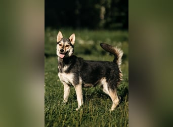 Aktive Naya sucht ihre Menschen