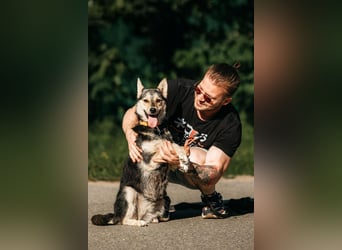 Aktive Naya sucht ihre Menschen