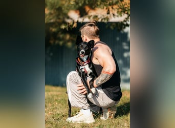 Sanfte Lucy sucht ihre Menschen