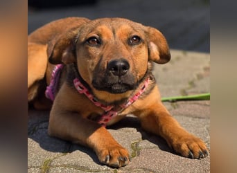 Maila sucht ihr Für-immer-Zuhause