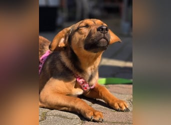 Maila sucht ihr Für-immer-Zuhause