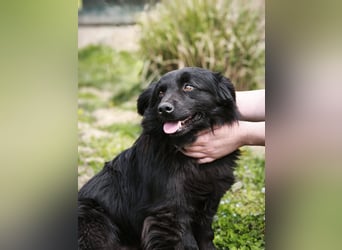 Blecky - freundlich und voller Lebensfreude