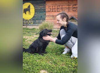 Blecky - freundlich und voller Lebensfreude