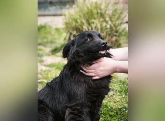 Blecky - freundlich und voller Lebensfreude