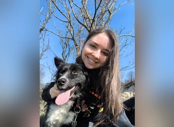 Kaya - Sanfte Seele sucht ihr Für-immer-Zuhause