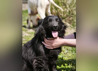 Blecky - freundlich und voller Lebensfreude