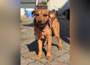 Maila sucht ihr Für-immer-Zuhause