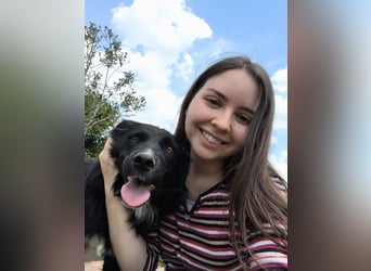 Dottie - Neugierige und freundliche Hündin sucht aktive Familie