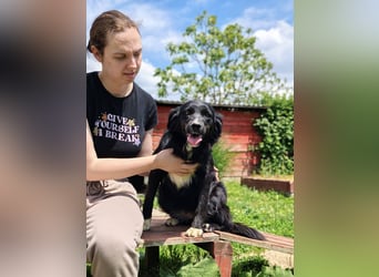 Dottie - Neugierige und freundliche Hündin sucht aktive Familie