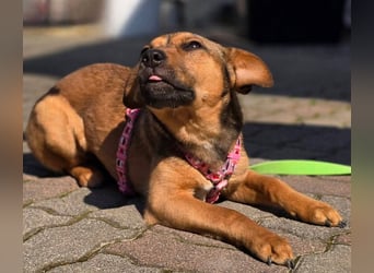 Maila sucht ihr Für-immer-Zuhause