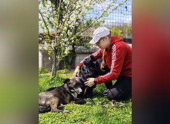 Blecky - freundlich und voller Lebensfreude