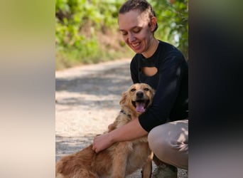Ozzu - ein Sonnenschein auf vier Pfoten sucht sein Für-immer-Zuhause
