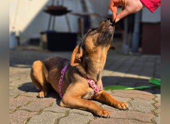 Maila sucht ihr Für-immer-Zuhause