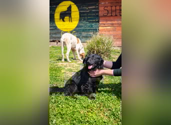 Blecky - freundlich und voller Lebensfreude