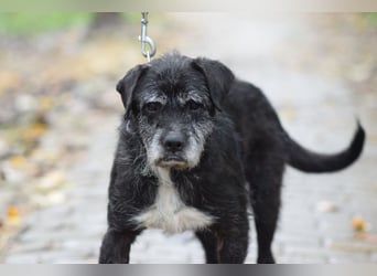 Opa Kalmann - liebevoller, aufgeschlossener und freundlicher Senior