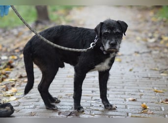 Opa Kalmann - liebevoller, aufgeschlossener und freundlicher Senior