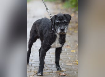 Opa Kalmann - liebevoller, aufgeschlossener und freundlicher Senior