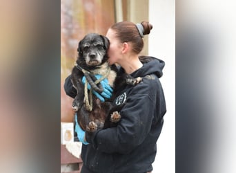 Opa Kalmann - liebevoller, aufgeschlossener und freundlicher Senior