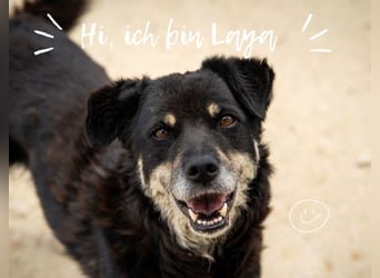 Unsere lustige Gute-Laune-Bärin Laya wartet schon so lange