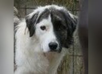 Unsere  Sara braucht Zeit und liebe geduldige Menschen