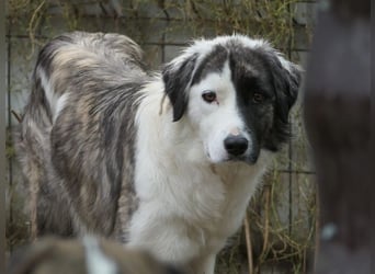 Unsere  Sara braucht Zeit und liebe geduldige Menschen