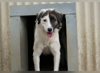 Unsere  Sara braucht Zeit und liebe geduldige Menschen