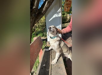 Mallon sucht seine Familie