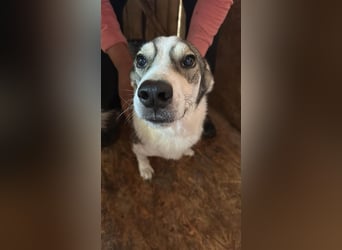 Mallon sucht seine Familie