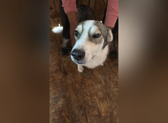 Mallon sucht seine Familie