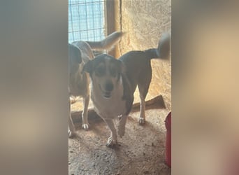 Mallon sucht seine Familie