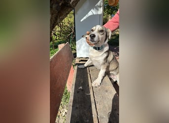 Mallon sucht seine Familie