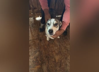 Mallon sucht seine Familie