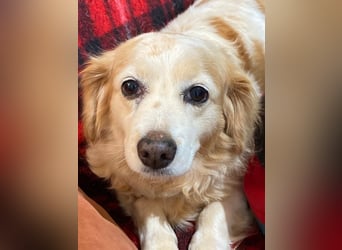 SUSHI sucht Familienanschluß