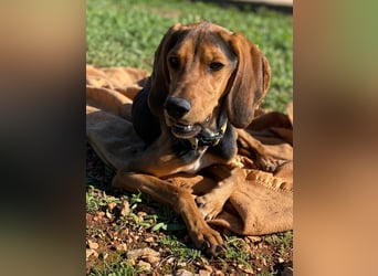 MEZZI auf Körbchensuche