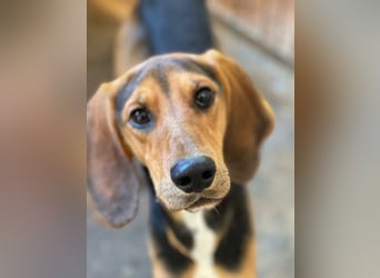 MEZZI auf Körbchensuche