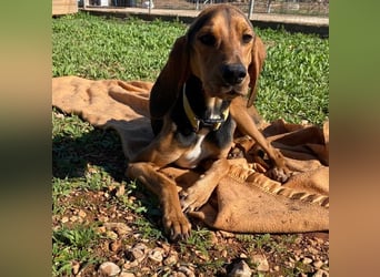 MEZZI auf Körbchensuche