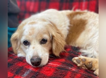 SUSHI sucht Familienanschluß