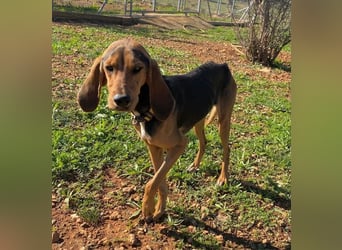 MEZZI auf Körbchensuche