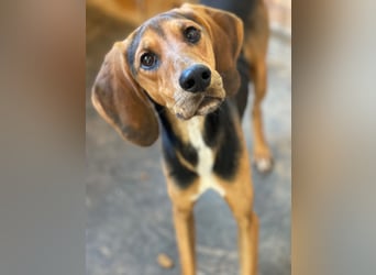 MEZZI auf Körbchensuche