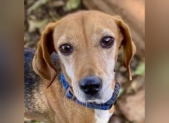 Couch gesucht für LINA