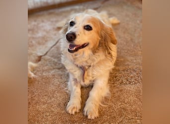 SUSHI sucht Familienanschluß