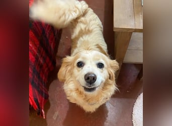 SUSHI sucht Familienanschluß