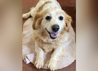 SUSHI sucht Familienanschluß