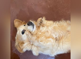 SUSHI sucht Familienanschluß