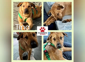 Hübsche Tina sucht ihre Menschen