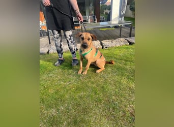 Hübsche Tina sucht ihre Menschen