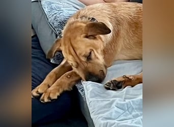 Hübsche Tina sucht ihre Menschen
