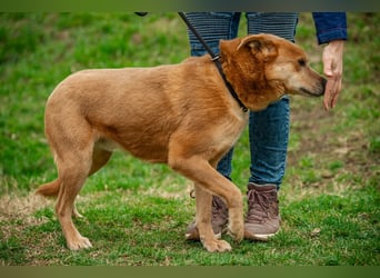 Jethro