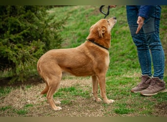 Jethro