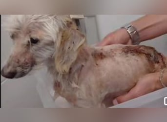 Melia - vom Nacktfrosch zur charmanten Prinzessin!